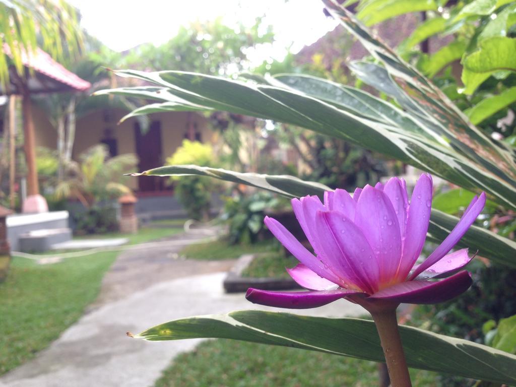 Dimuwa Ubud الغرفة الصورة