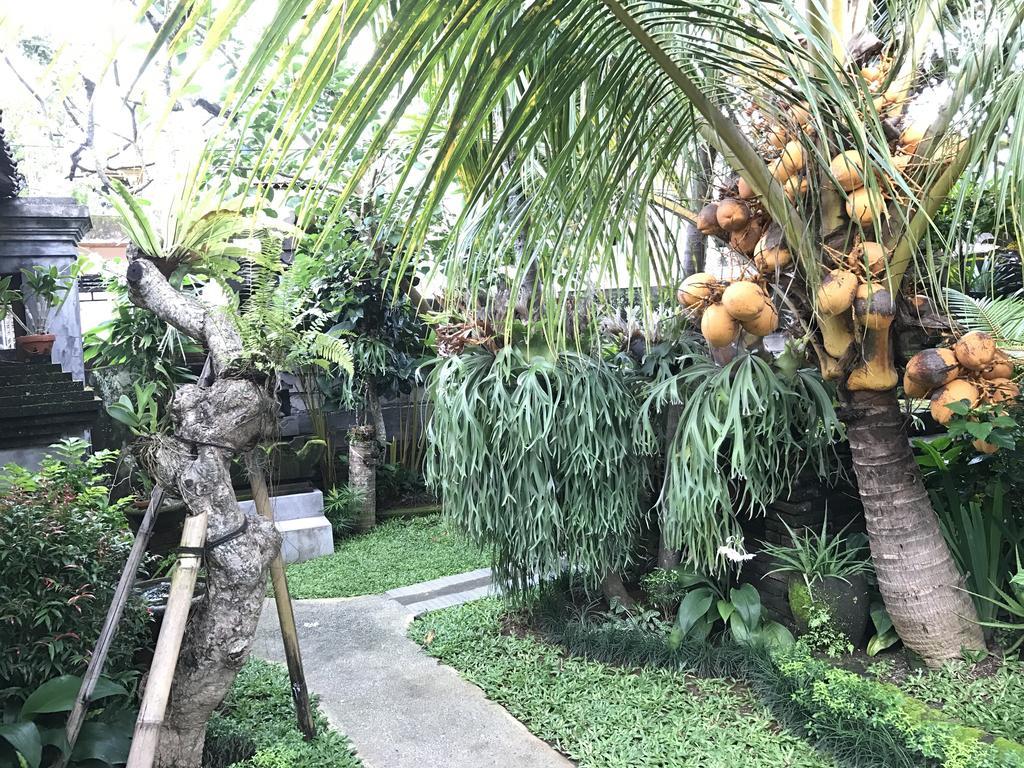 Dimuwa Ubud المظهر الخارجي الصورة