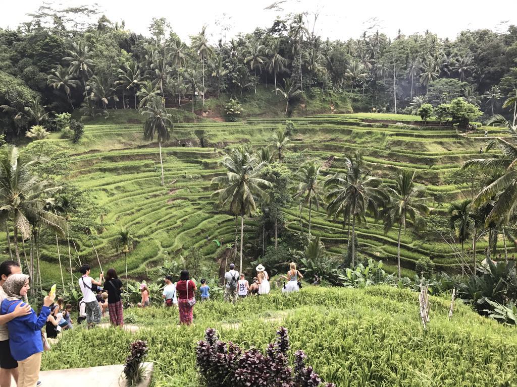 Dimuwa Ubud المظهر الخارجي الصورة